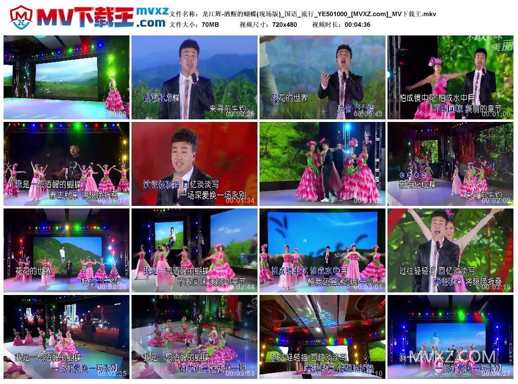 龙江辉-酒醒的蝴蝶(现场版)_国语_流行_YE501000